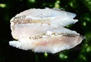 クリックで拡大表示