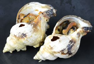 クリックで拡大表示