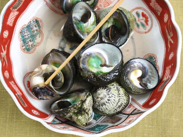 クボガイ 軟体 市場魚貝類図鑑
