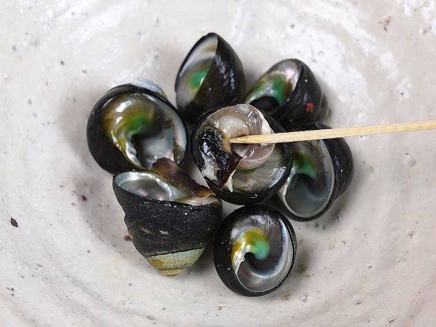 クマノコガイの塩ゆで