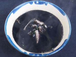 アオリイカ シロアオリイカ 市場魚貝類図鑑