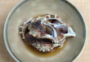 ミヤコボラ 軟体 市場魚貝類図鑑