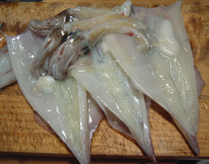 ヤリイカ 軟体 市場魚貝類図鑑 ヤリイカ 軟体 市場魚貝類図鑑