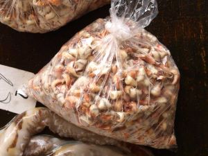 クリックで拡大表示