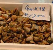 市場でのチャンバラ貝