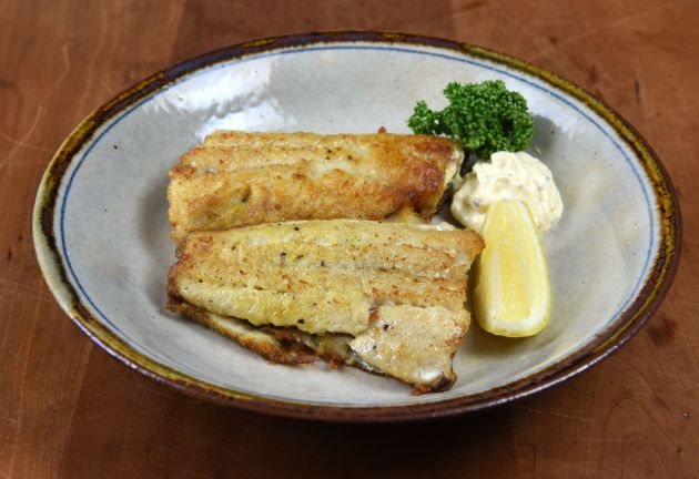 島ホッケ 北海道の初冬。チタラと“9SL”で、旬のホッケを釣り味わう