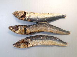 クリックで拡大表示