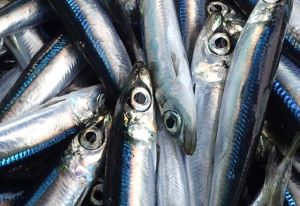 クリックで拡大表示