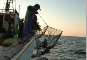 クリックで拡大表示