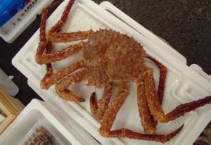 クリックで拡大表示