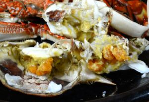 クリックで拡大表示