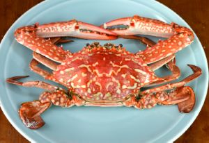 クリックで拡大表示