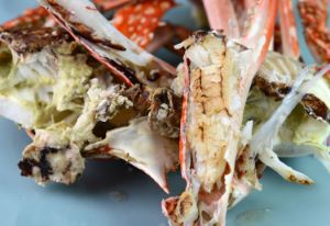 クリックで拡大表示