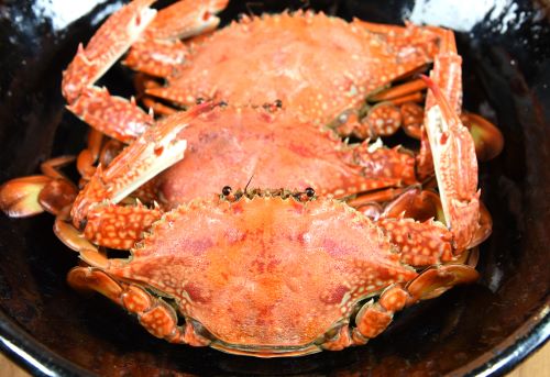 クリックで拡大表示