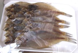 クリックで拡大表示