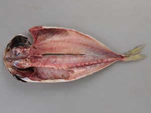 クリックで拡大表示 ニシマアジの開き干し