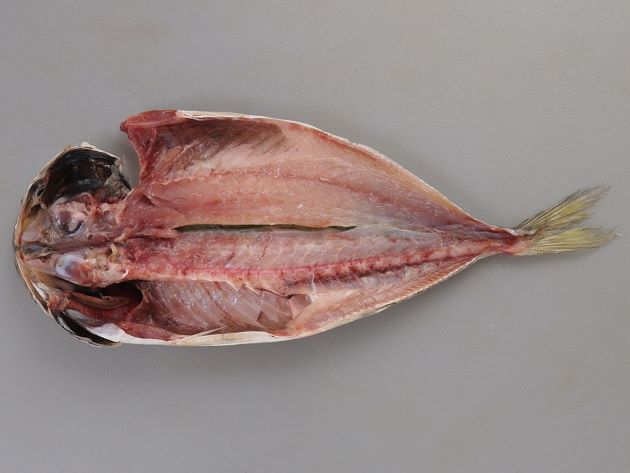 ニシマアジの開き干し