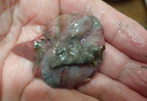 クリックで拡大表示