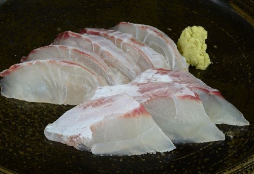 コショウダイ 魚類 市場魚貝類図鑑