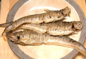 クリックで拡大表示 エツの刺身