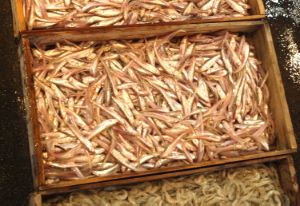 クリックで拡大表示 柳河、魚市場