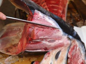 クリックで拡大表示 頭の身