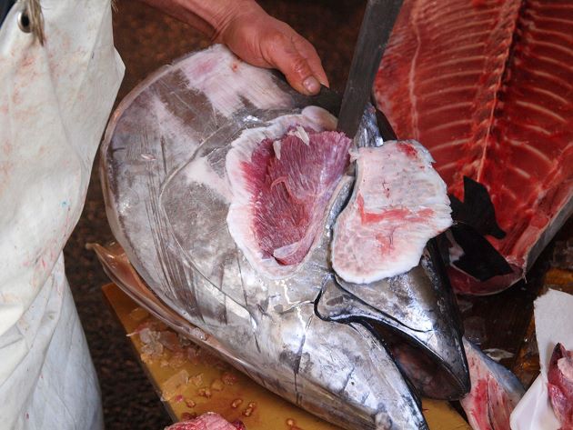 メバチのほおの身