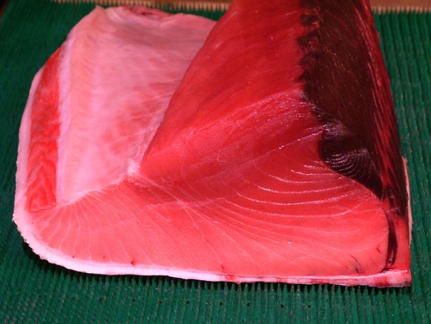 ミナミマグロの断面