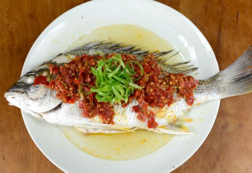 キチヌ キビレ 市場魚貝類図鑑