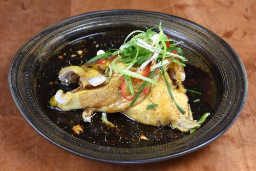 アオハタ 魚類 市場魚貝類図鑑 アオハタ 魚類 市場魚貝類図鑑
