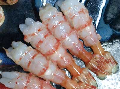 クリックで拡大表示 イバラモエビの刺身