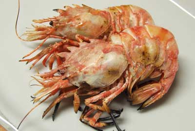 イバラモエビの焼きえび