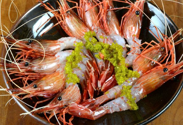 えびあ様 モロトゲアカエビ (シマエビ) | 市場魚貝類図鑑