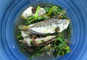 クリックで拡大表示