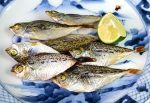 クリックで拡大表示