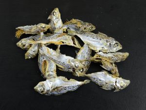 クリックで拡大表示