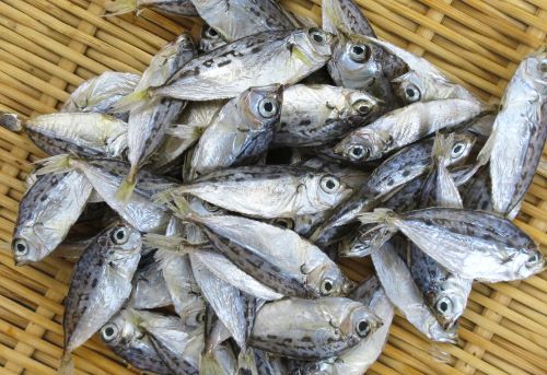 クリックで拡大表示