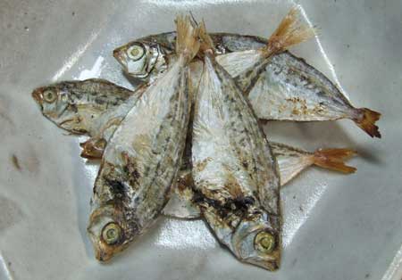 オキヒイラギの丸干し