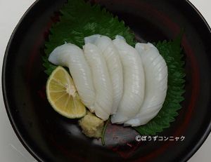 クリックで拡大表示 コウイカの新イカの刺身
