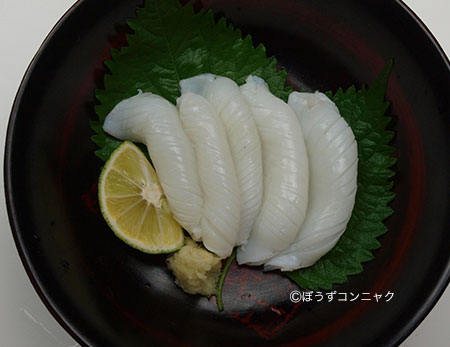 コウイカの新イカの刺身