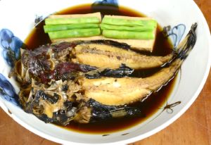 オニオコゼ 魚類 市場魚貝類図鑑
