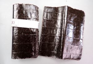 クリックで拡大表示