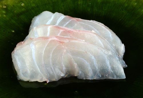 ツチホゼリ 魚類 市場魚貝類図鑑