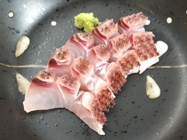 オオヒメの焼霜造り