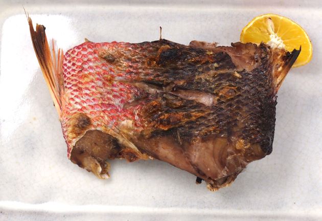 ハチビキ 魚類 市場魚貝類図鑑