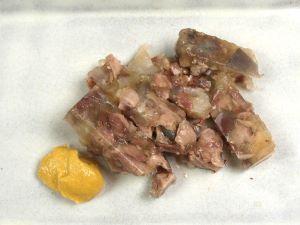 スッポン その他生物 市場魚貝類図鑑 スッポン その他生物 市場魚貝類図鑑