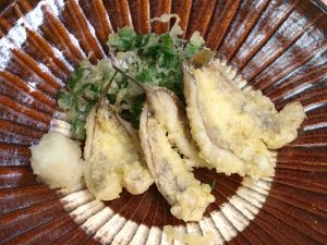 クリックで拡大表示 クラカケトラギスの天ぷら