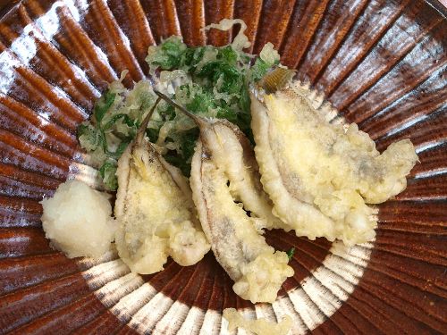クラカケトラギス 魚類 市場魚貝類図鑑