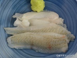 クリックで拡大表示 タマガンゾウビラメの刺身