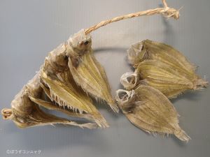 クリックで拡大表示 でびら